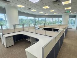 Alexandra Point (D5), Office #561347541